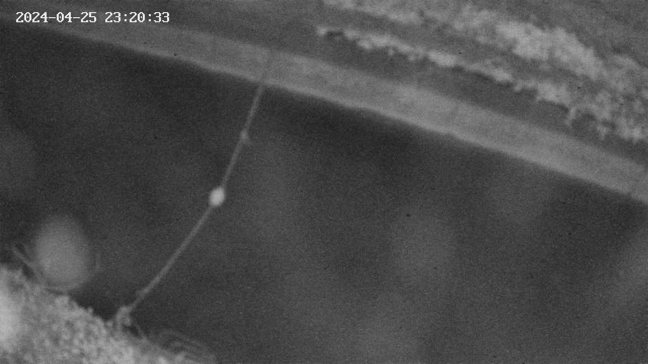 area10-20240425232034.jpg