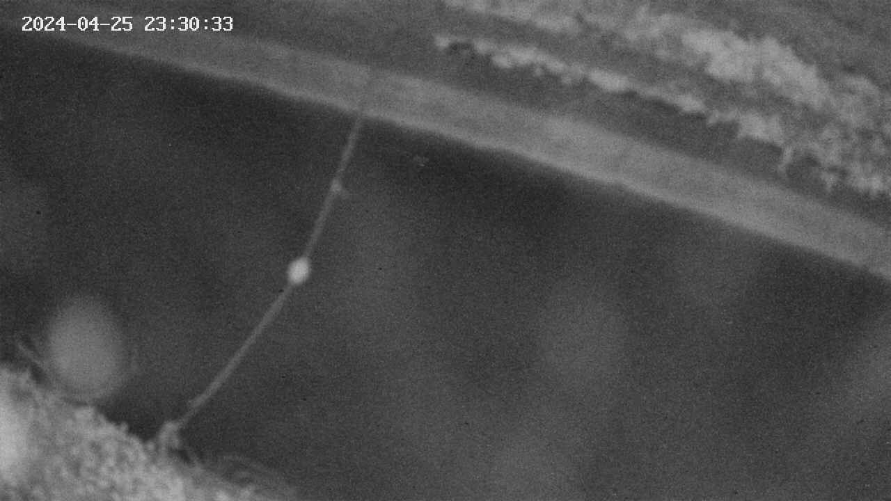 area10-20240425233034.jpg
