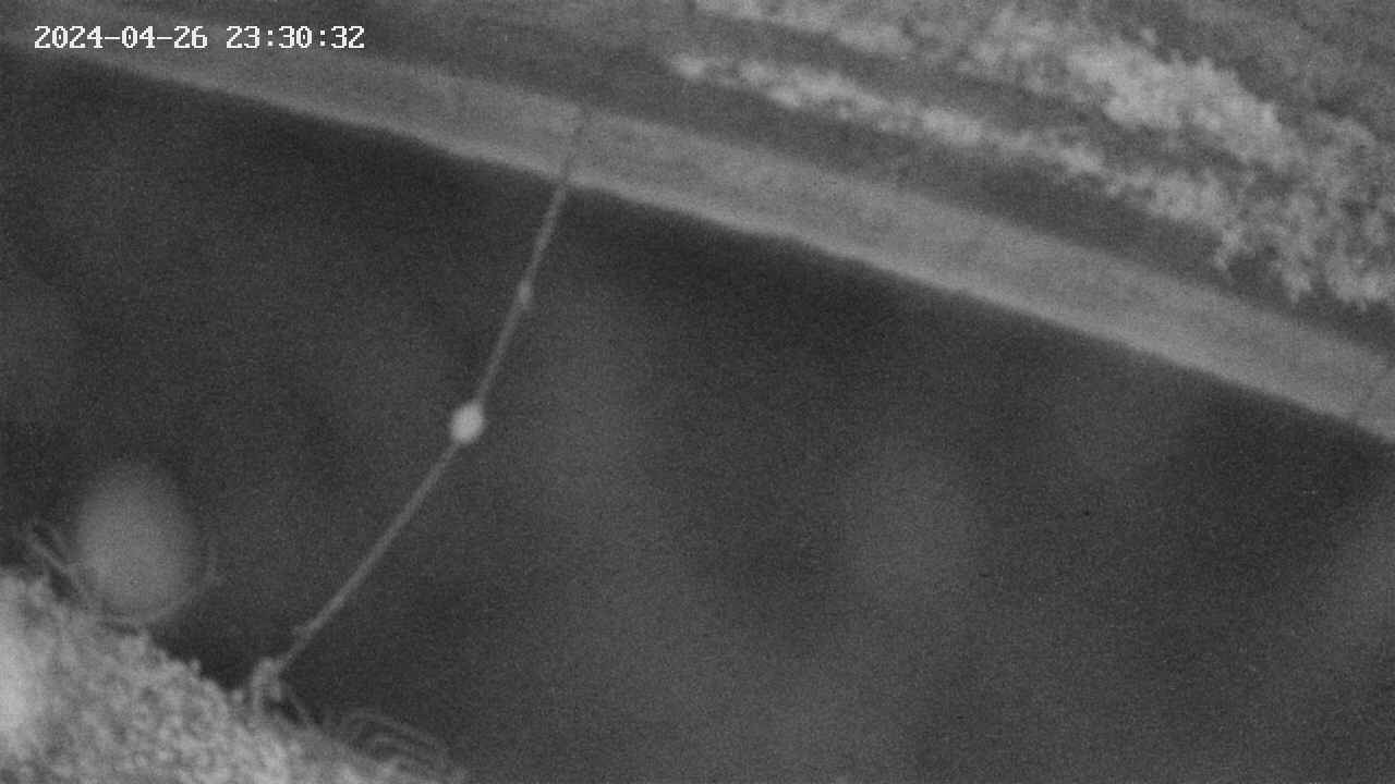 area10-20240426233034.jpg