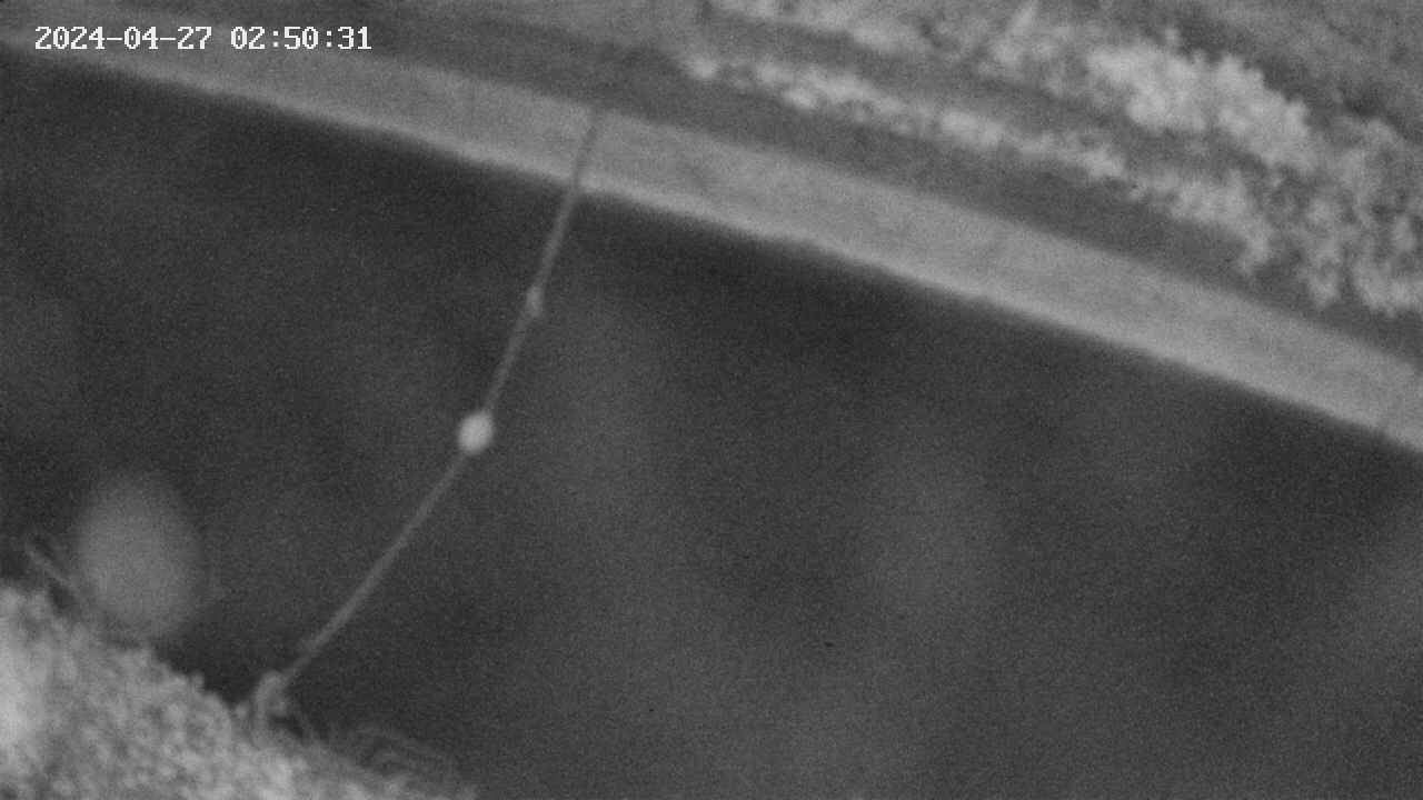area10-20240427025033.jpg