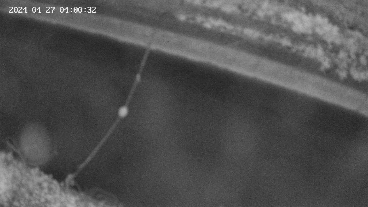 area10-20240427040034.jpg