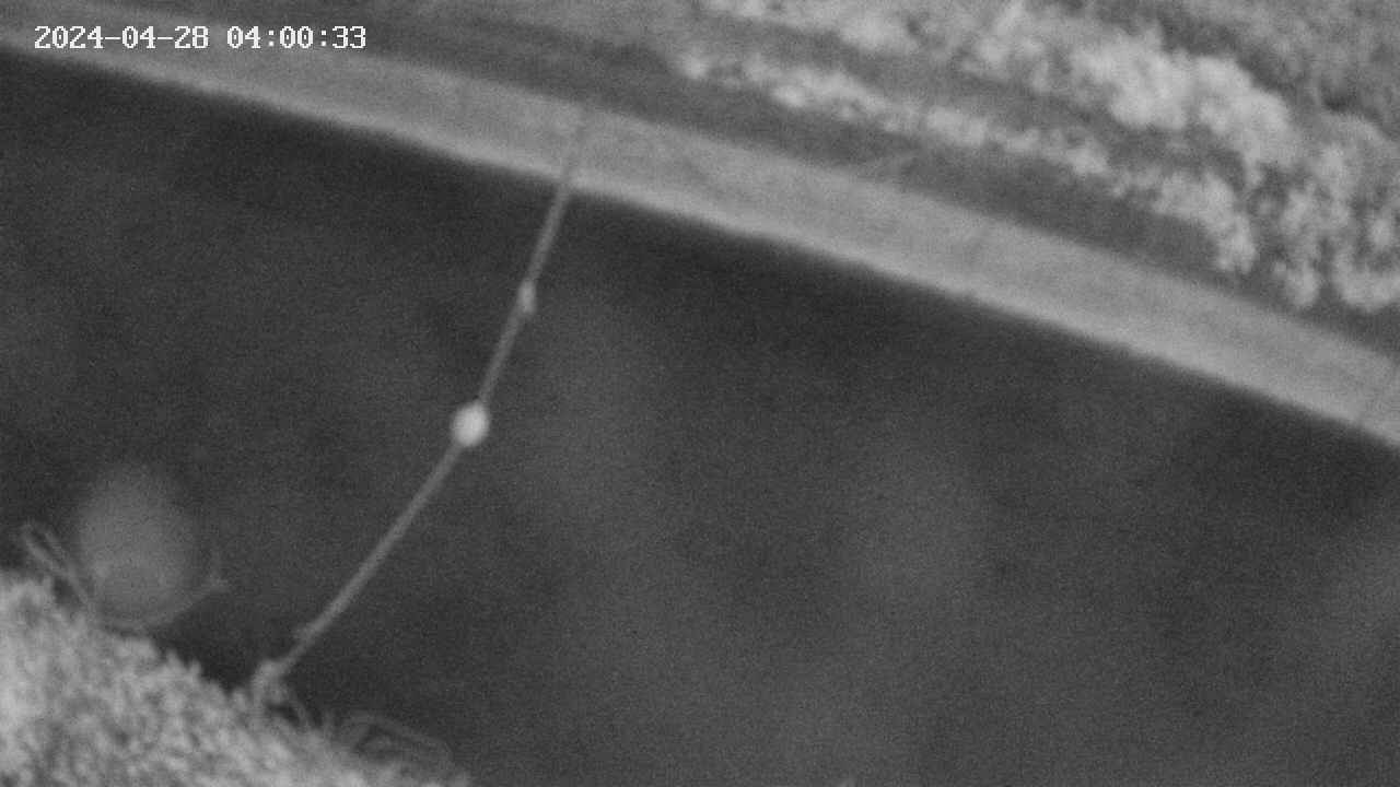 area10-20240428040035.jpg