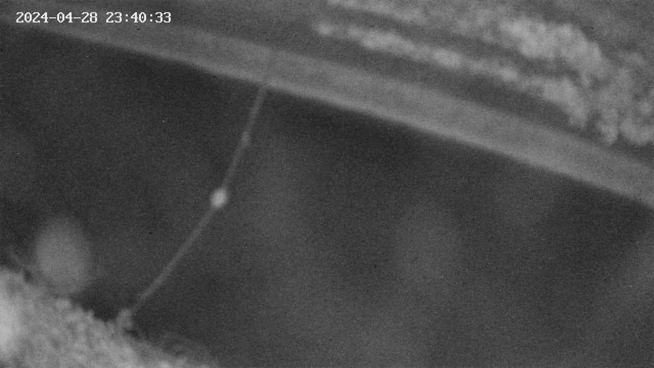 area10-20240428234034.jpg
