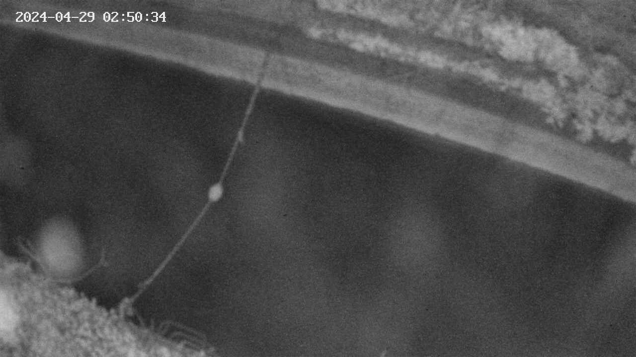 area10-20240429025036.jpg