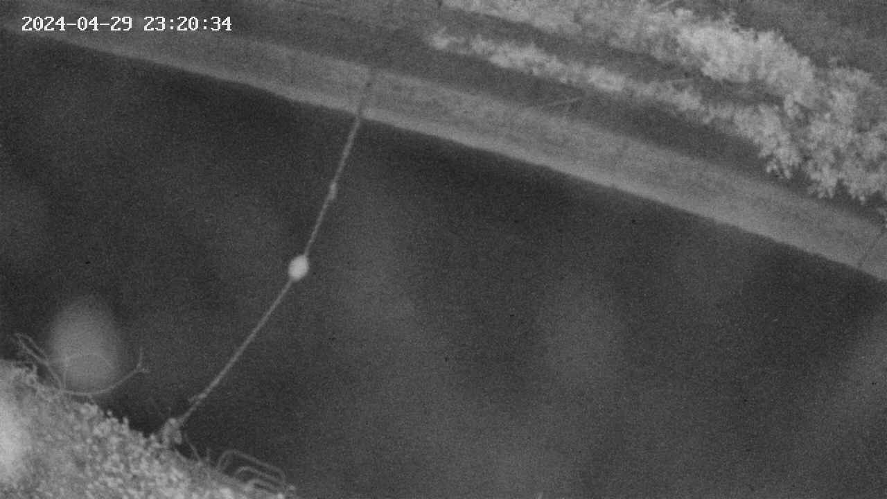 area10-20240429232035.jpg