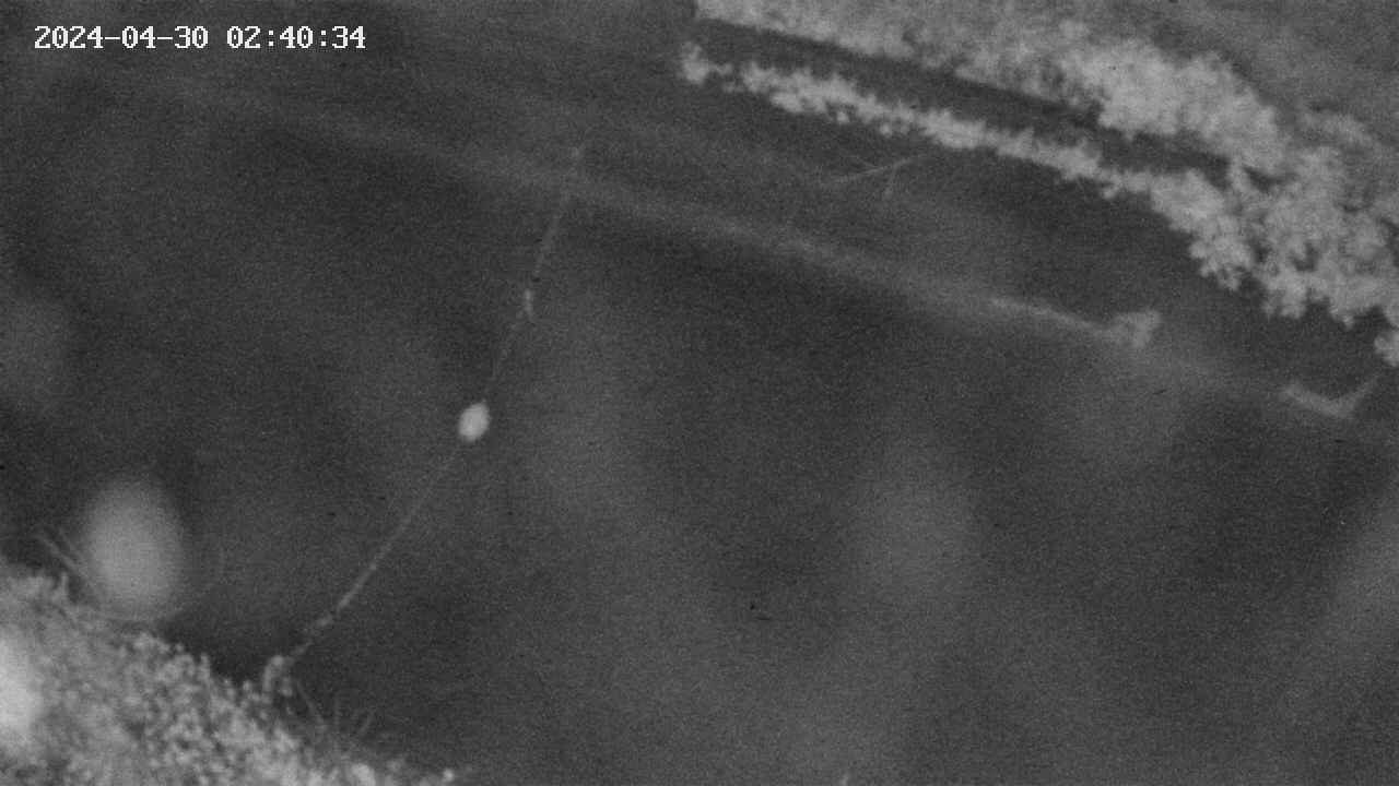 area10-20240430024035.jpg