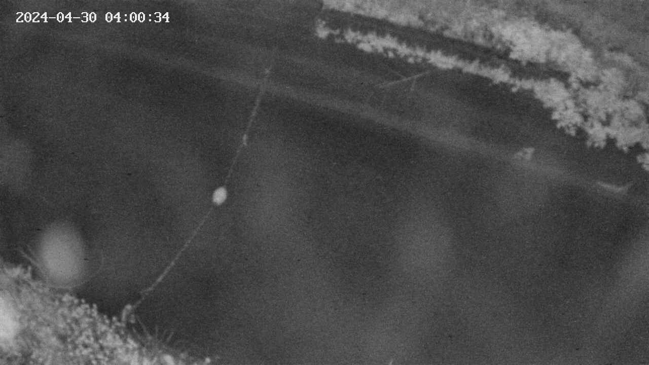 area10-20240430040035.jpg