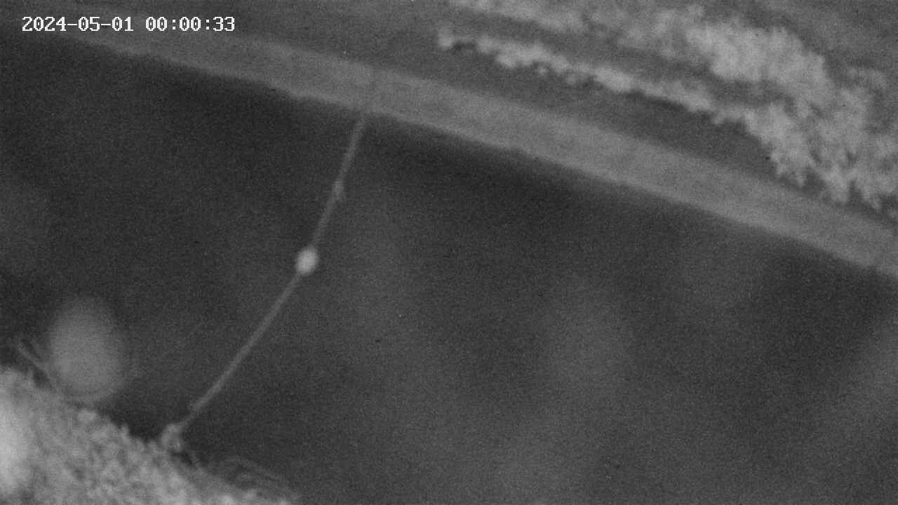 area10-20240501000034.jpg