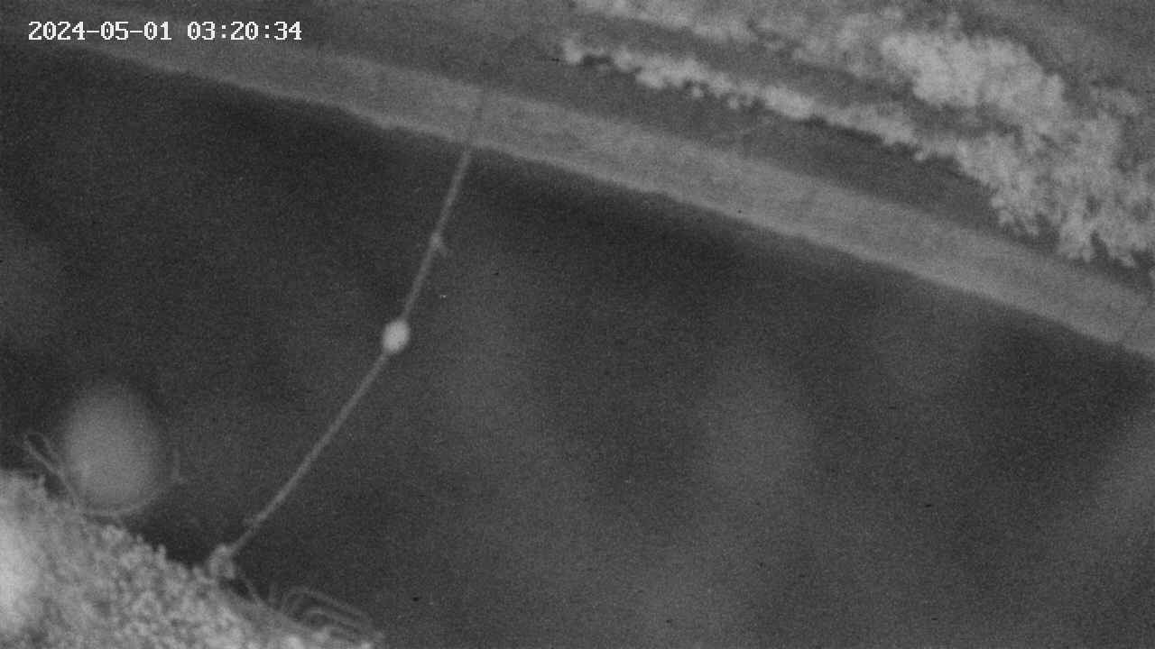 area10-20240501032035.jpg