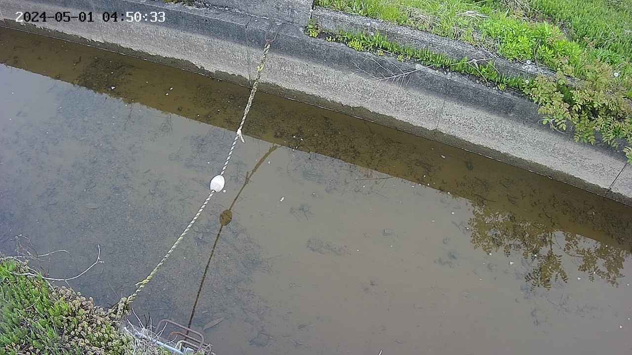 area10-20240501045034.jpg