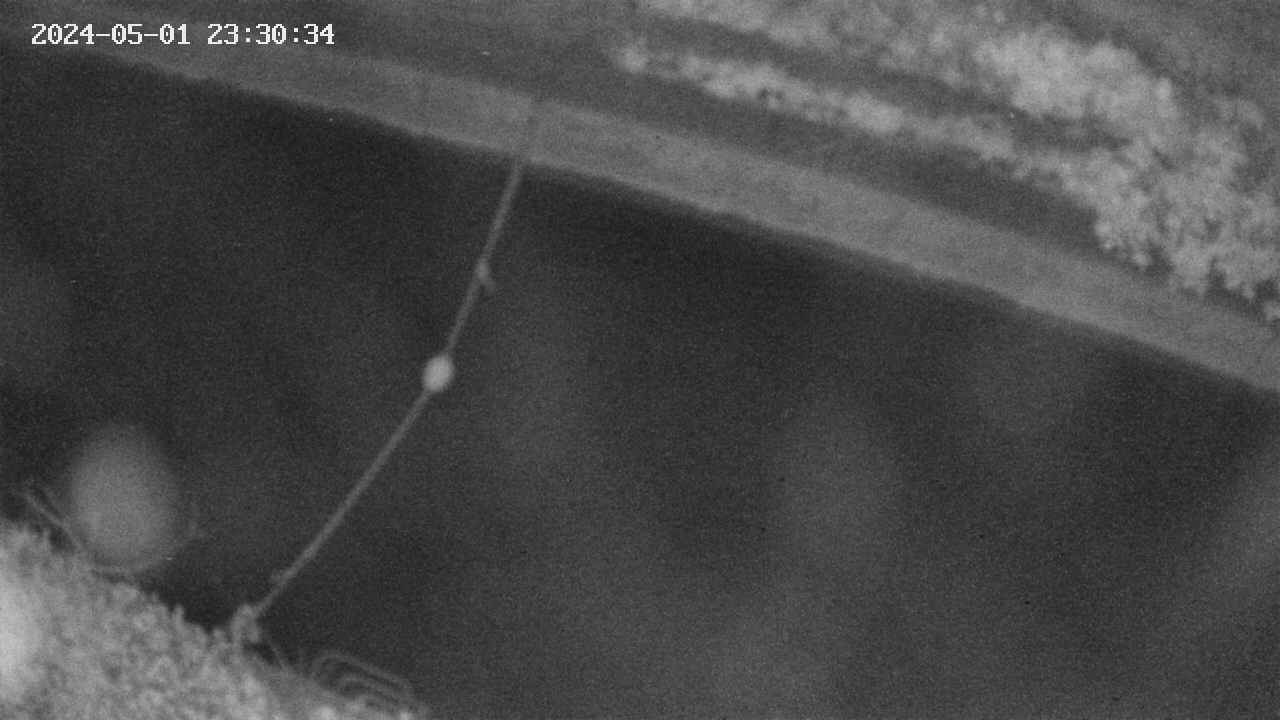 area10-20240501233035.jpg