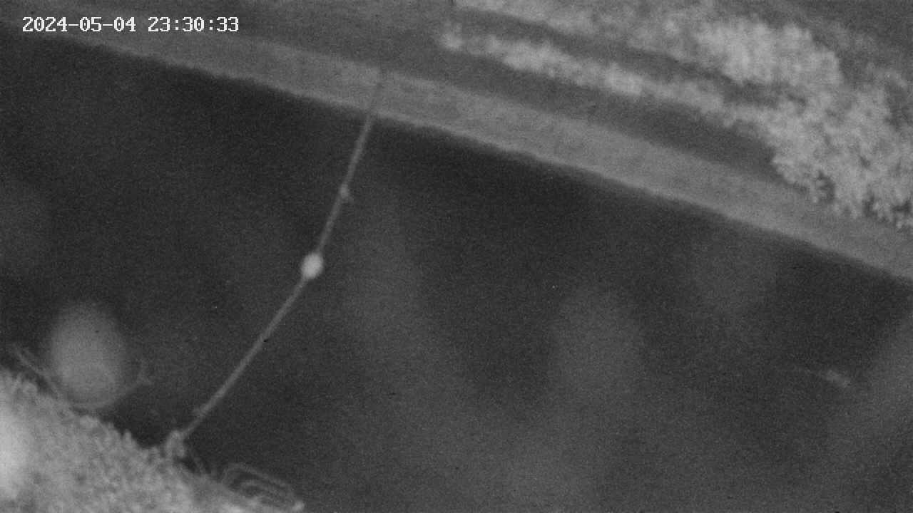 area10-20240504233033.jpg