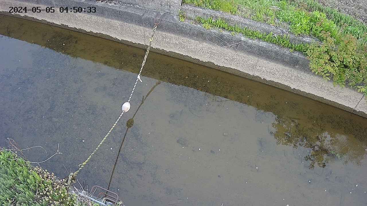 area10-20240505045034.jpg