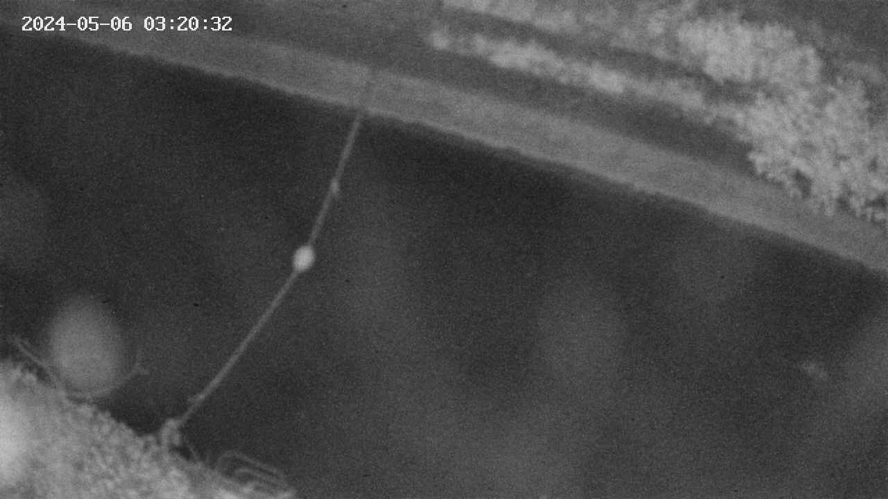 area10-20240506032034.jpg