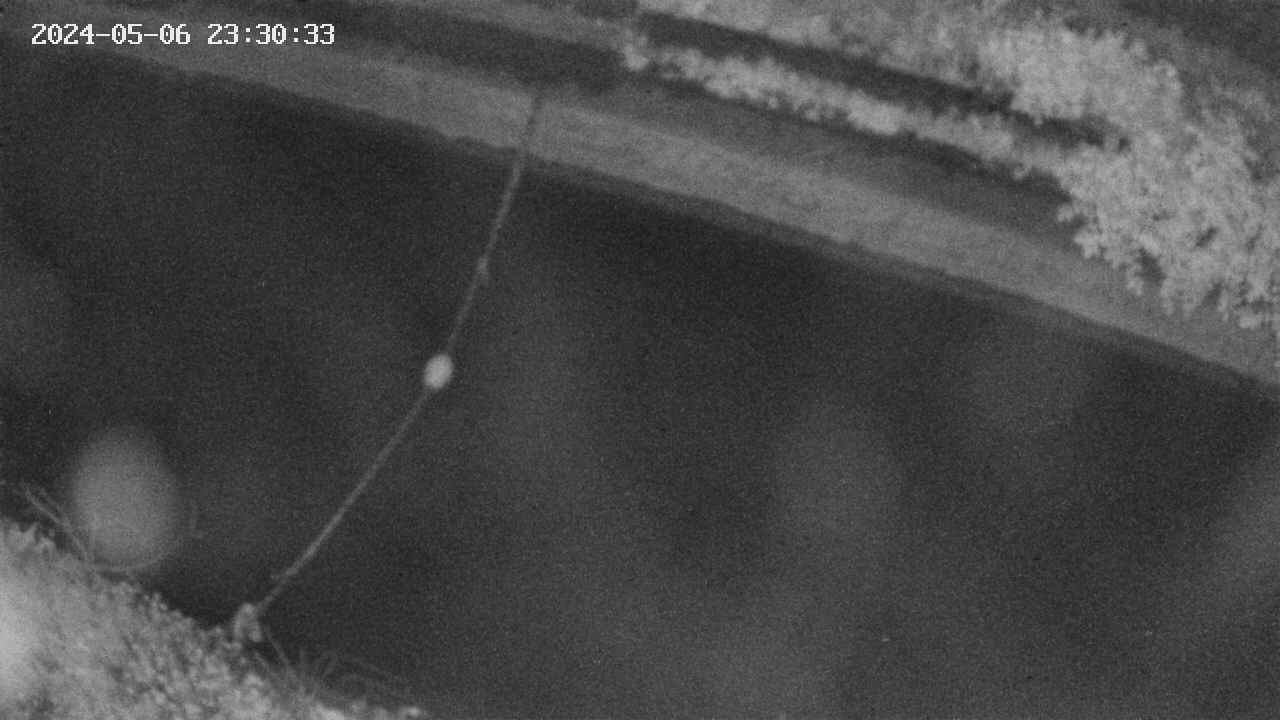 area10-20240506233033.jpg
