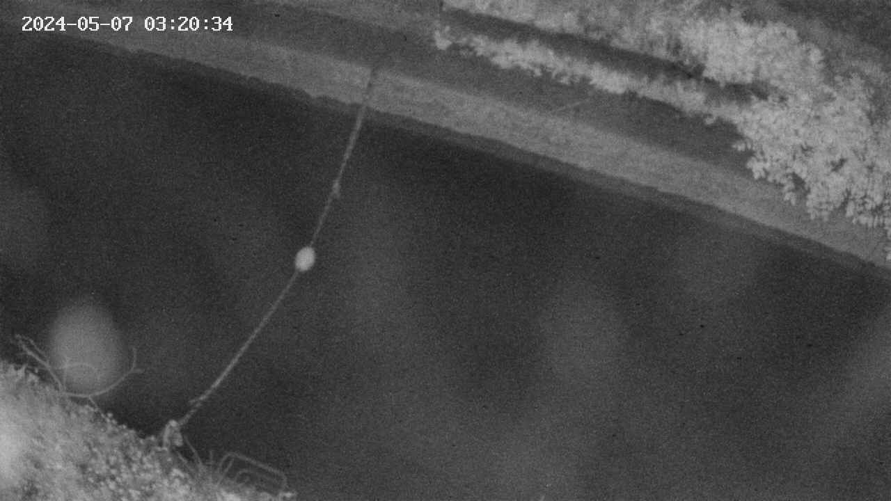 area10-20240507032035.jpg