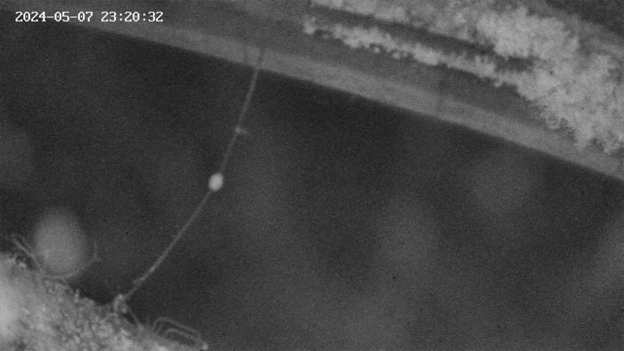 area10-20240507232033.jpg