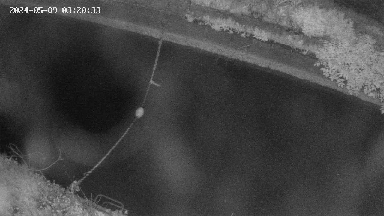 area10-20240509032034.jpg