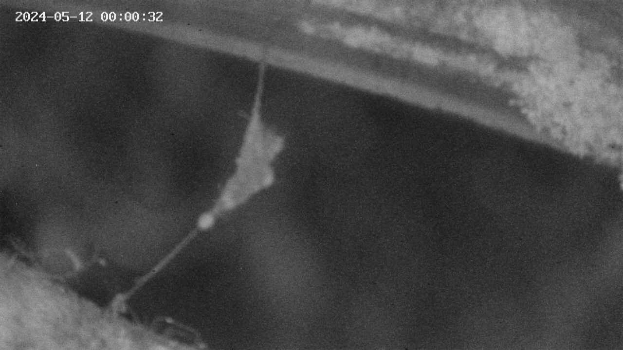 area10-20240512000033.jpg