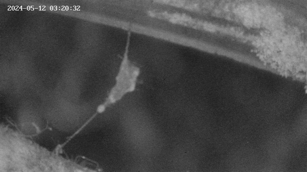 area10-20240512032033.jpg