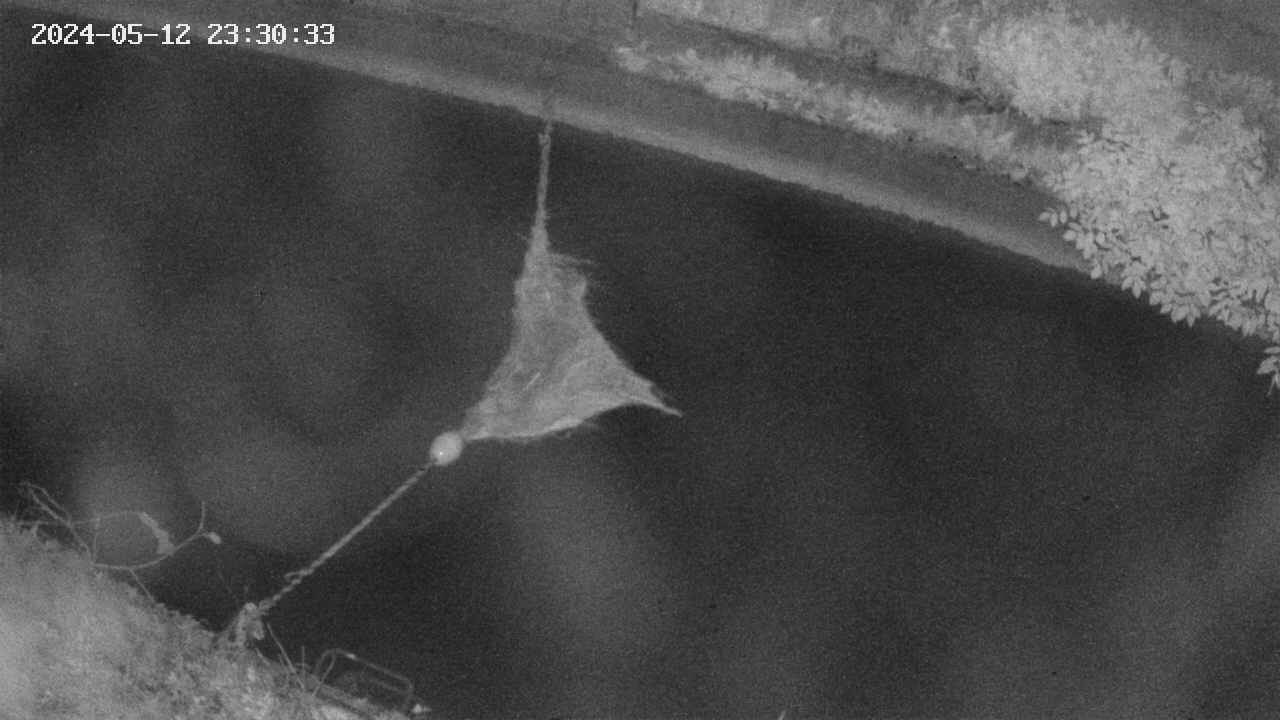 area10-20240512233034.jpg