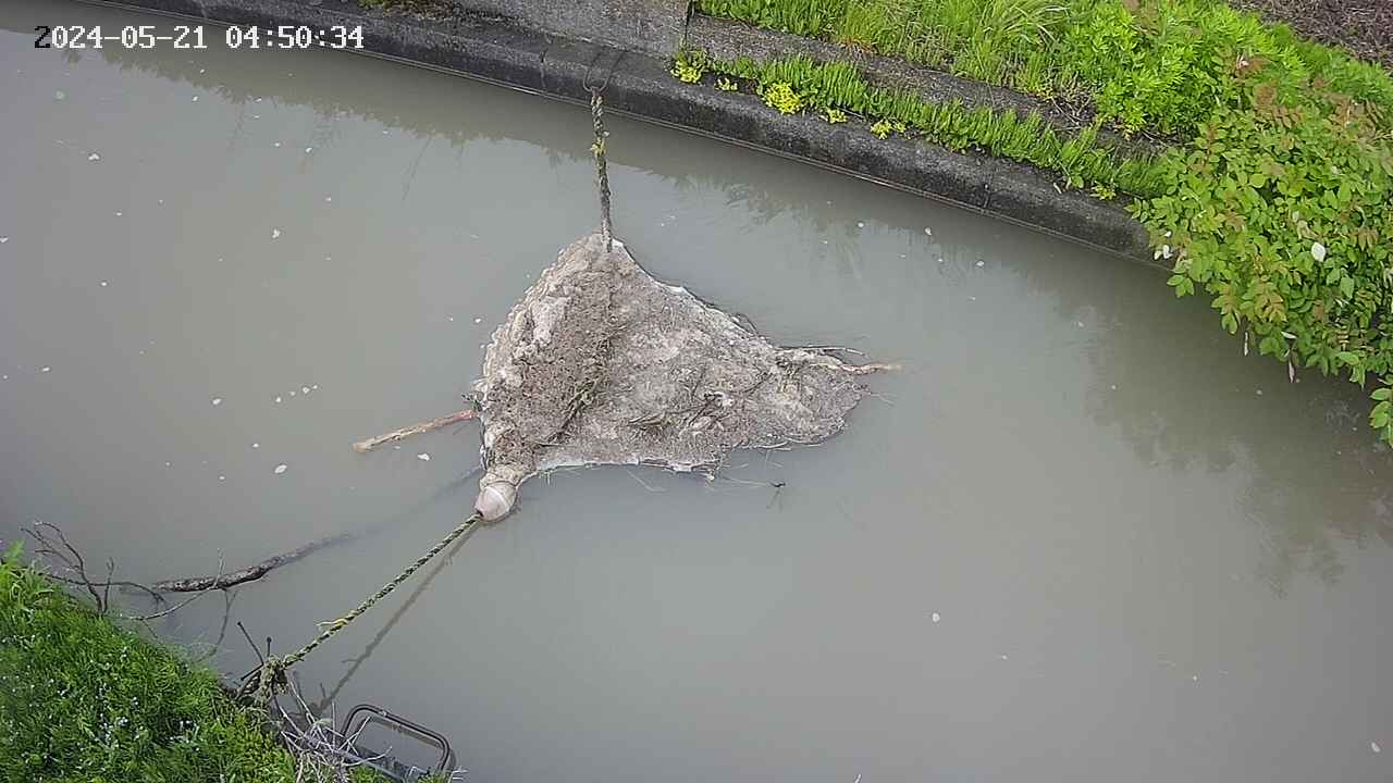 area10-20240521045035.jpg