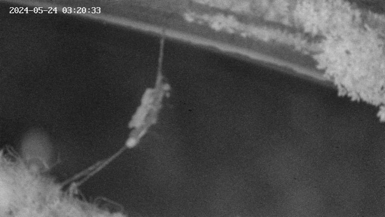 area10-20240524032033.jpg