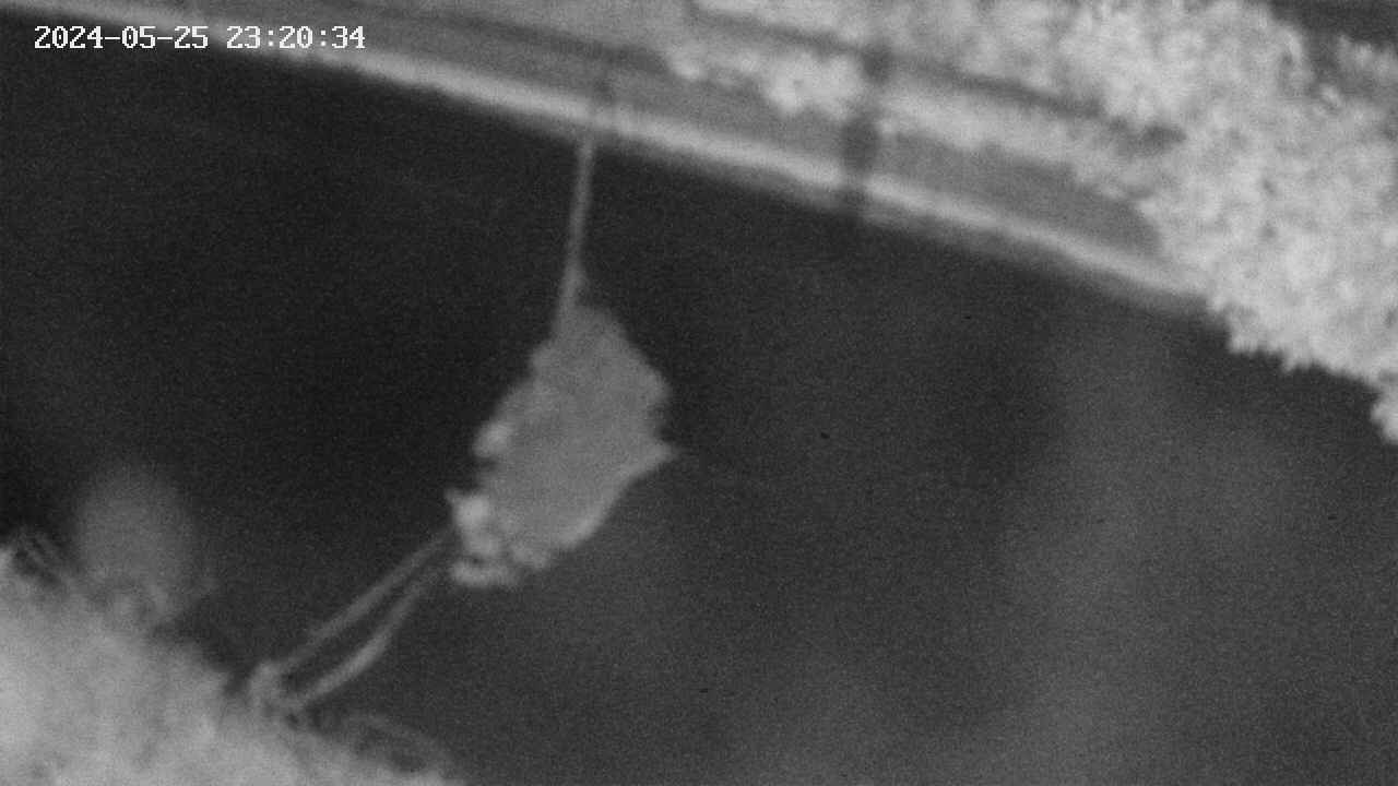 area10-20240525232034.jpg