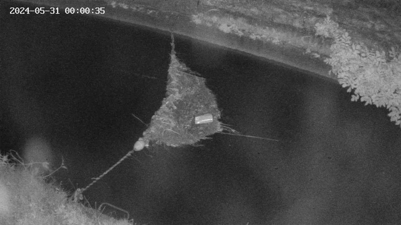 area10-20240531000035.jpg