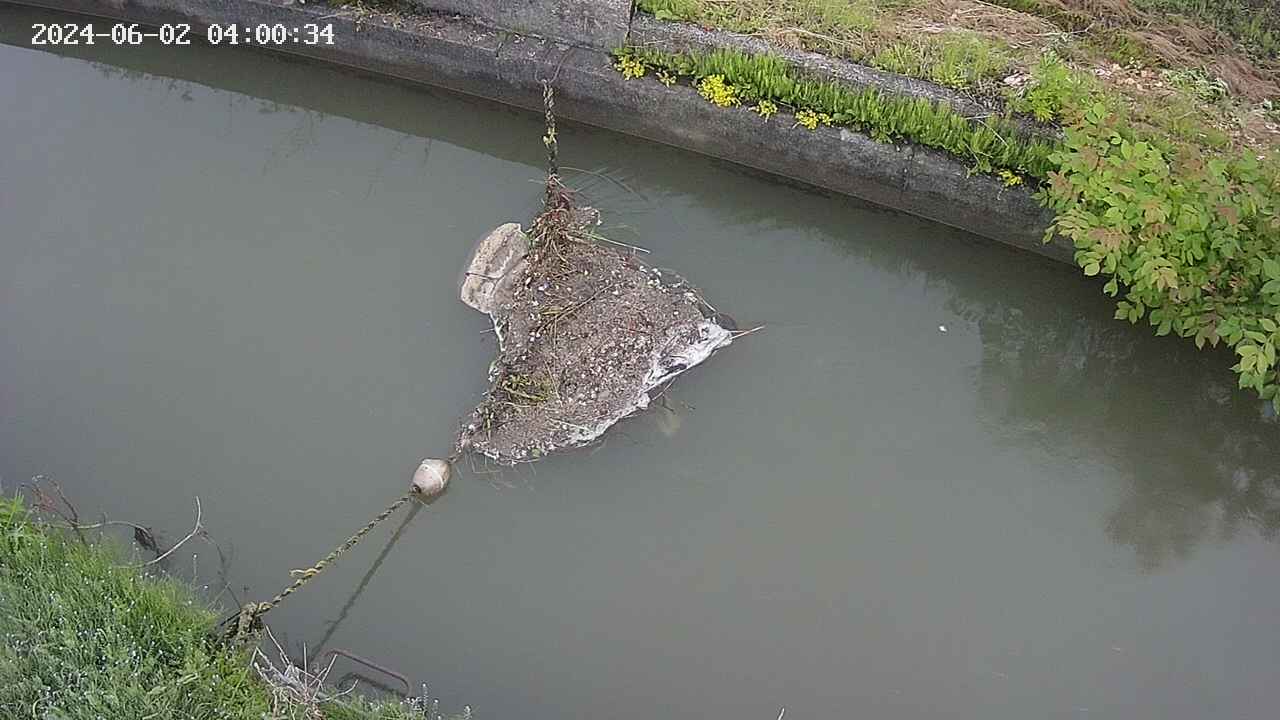 area10-20240602040035.jpg