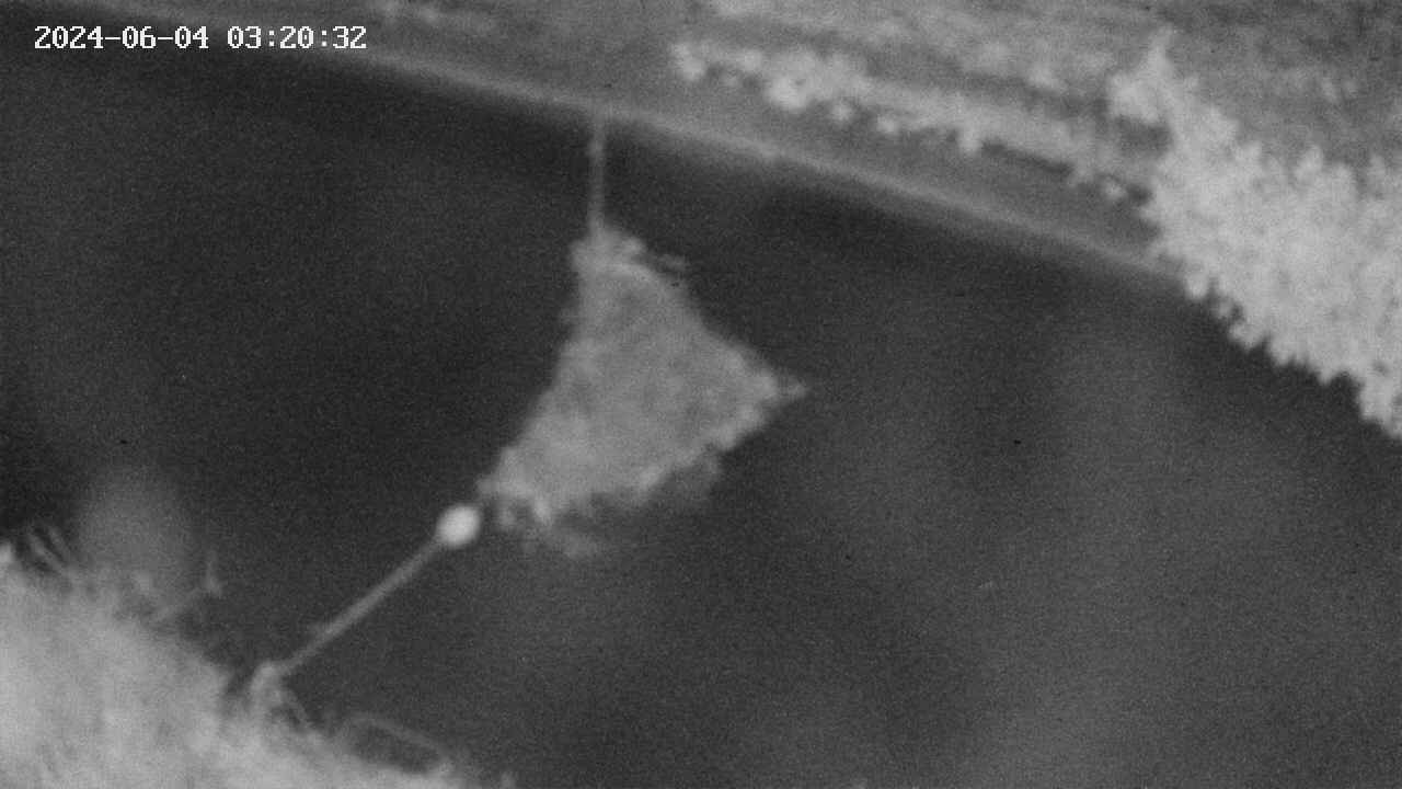 area10-20240604032033.jpg