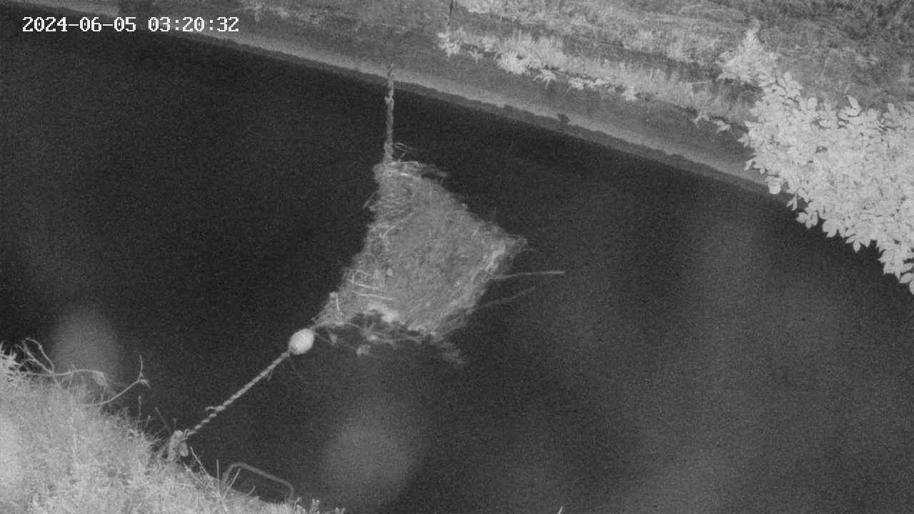 area10-20240605032033.jpg