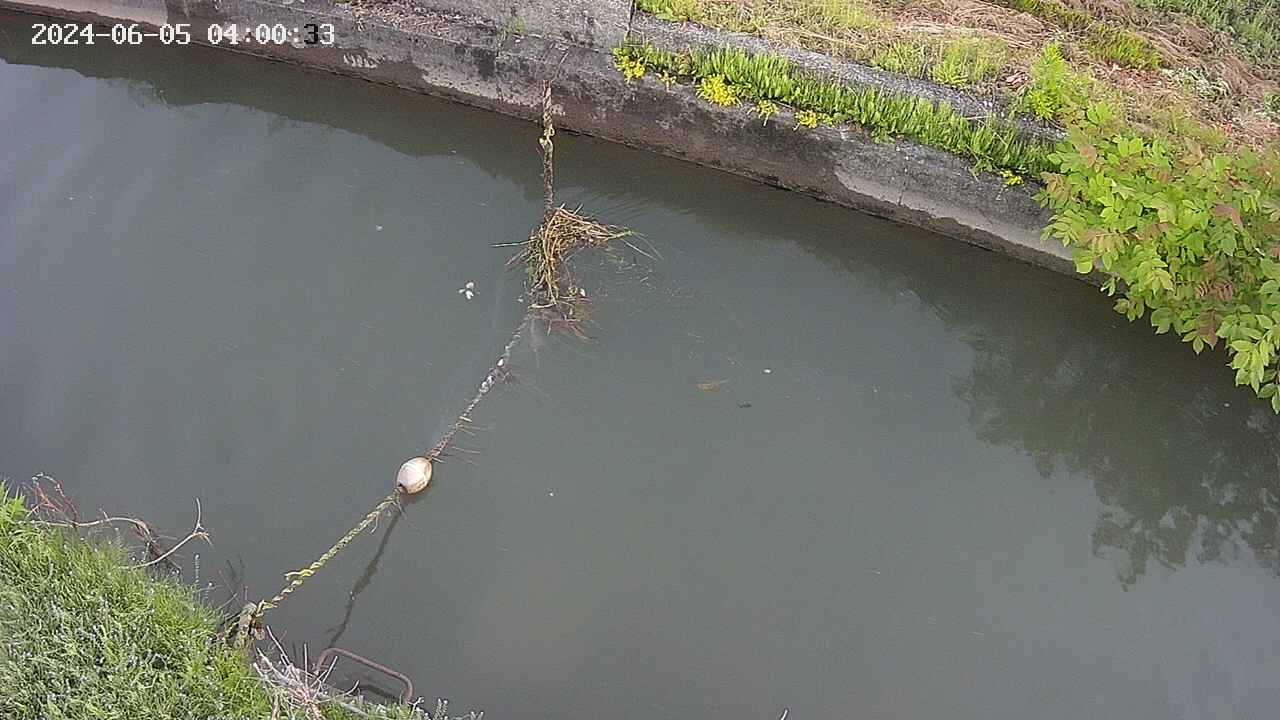 area10-20240605040034.jpg
