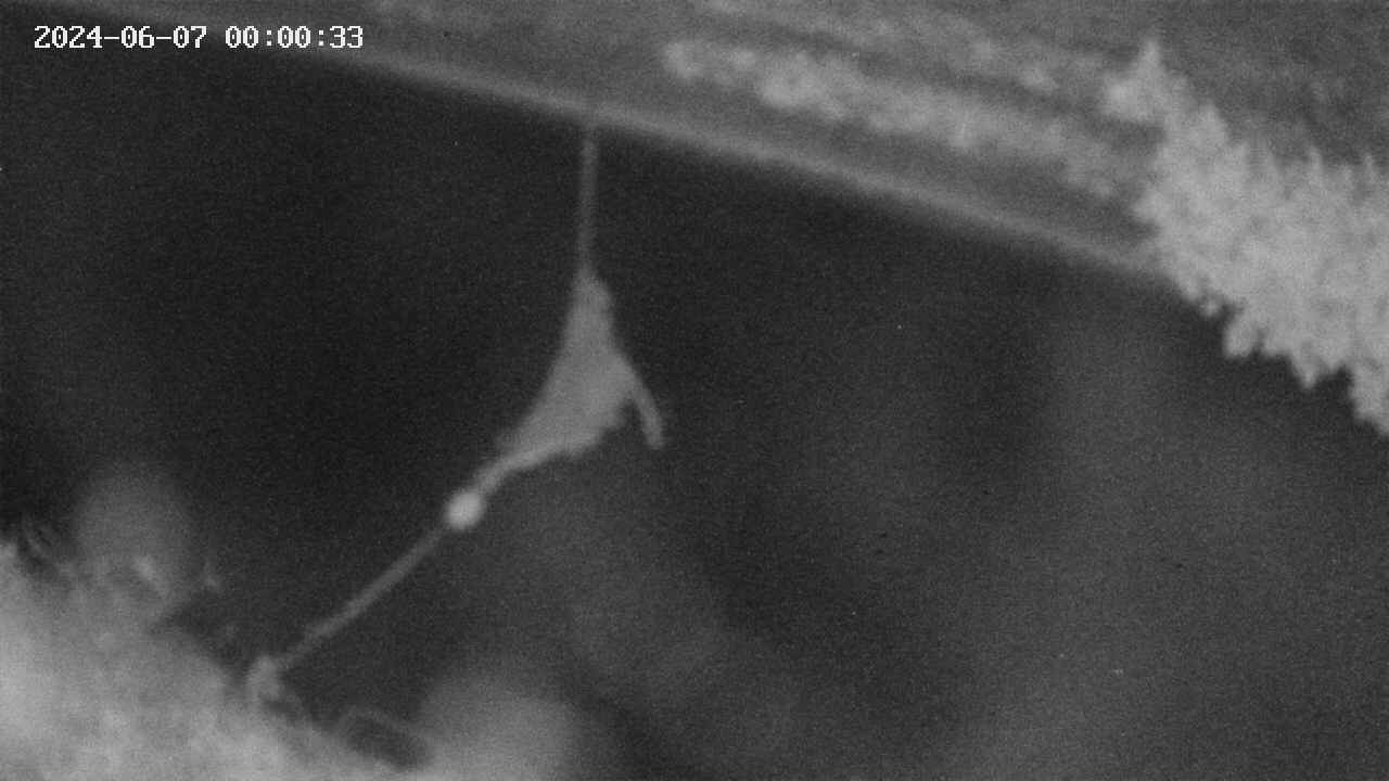 area10-20240607000034.jpg