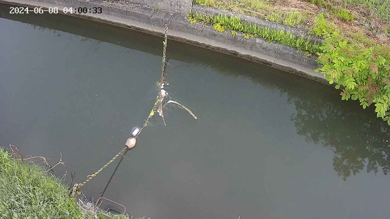 area10-20240608040034.jpg