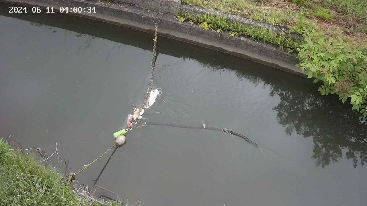 area10-20240611040035.jpg