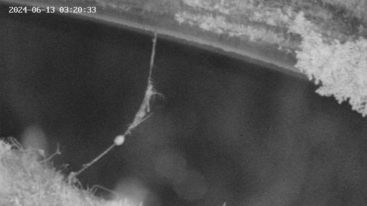 area10-20240613032034.jpg