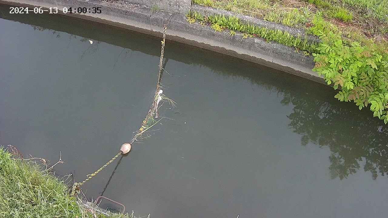 area10-20240613040035.jpg