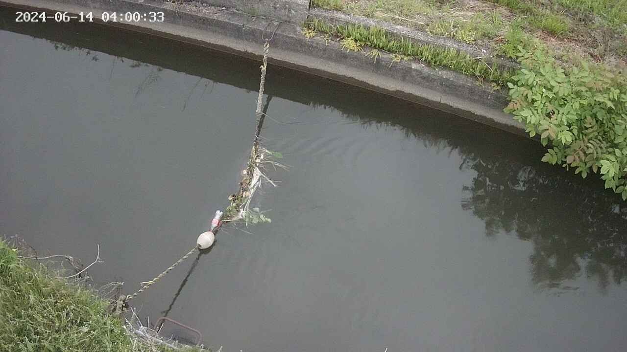area10-20240614040034.jpg