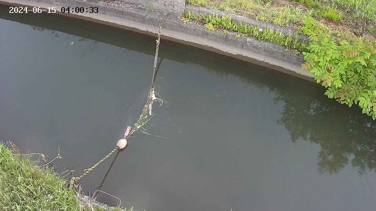 area10-20240615040033.jpg