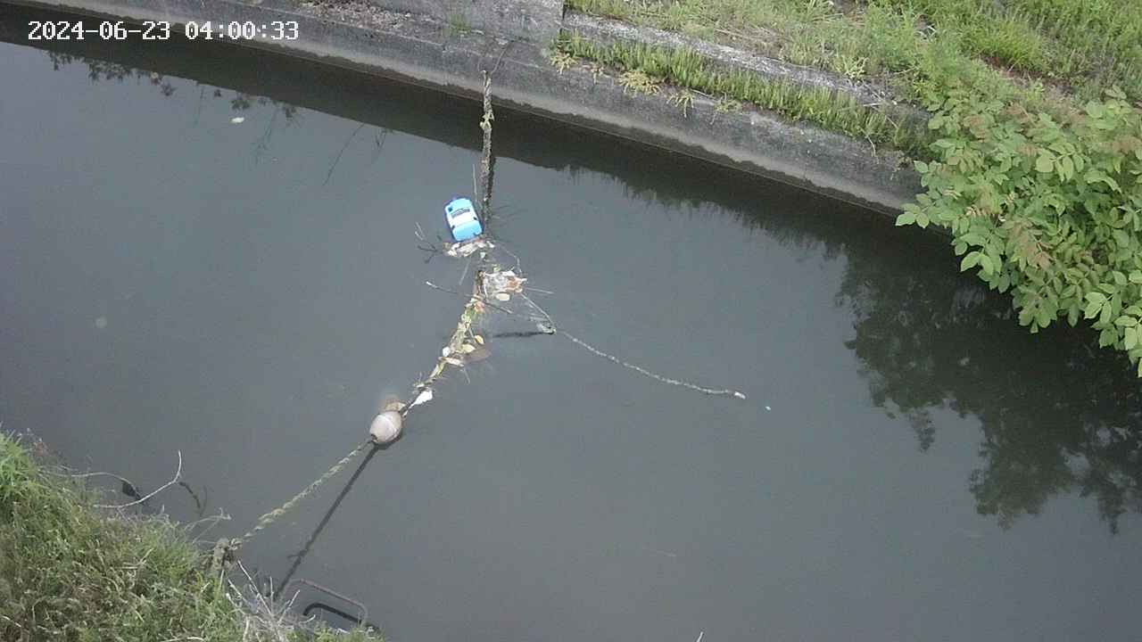 area10-20240623040034.jpg