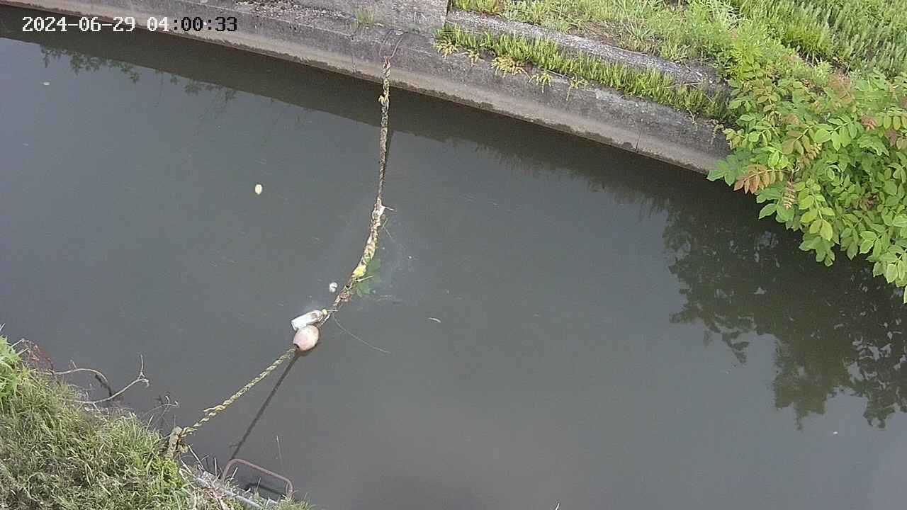 area10-20240629040034.jpg