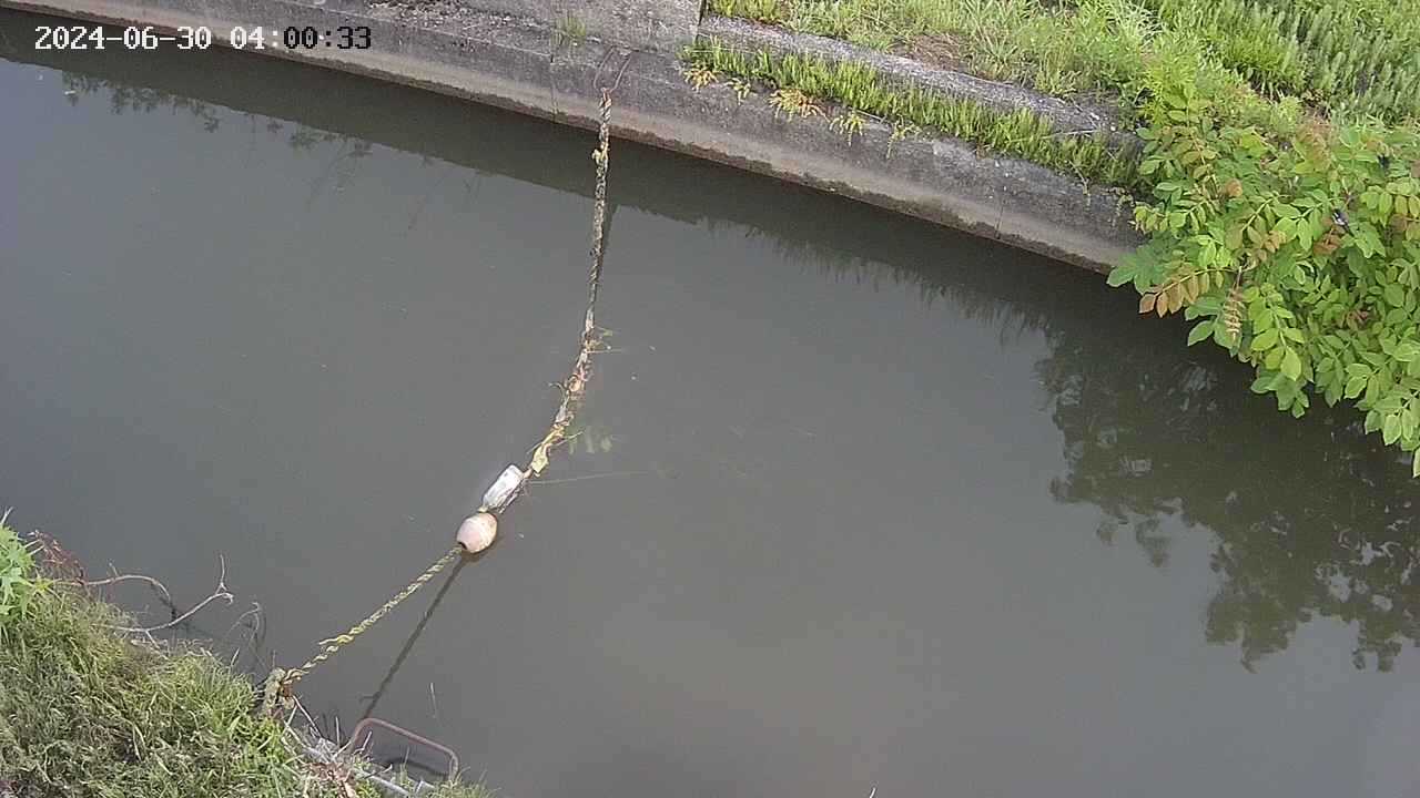 area10-20240630040034.jpg