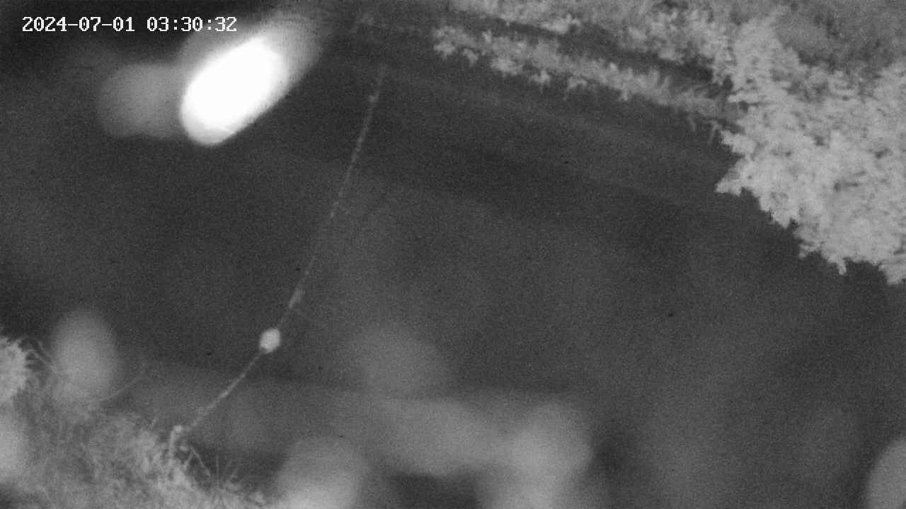 area10-20240701033033.jpg