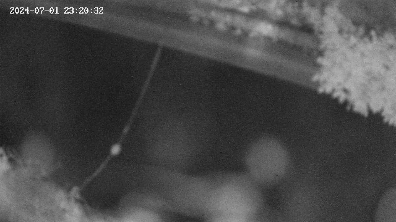 area10-20240701232033.jpg