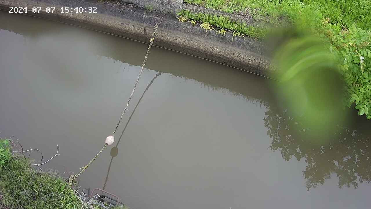 area10-20240707154033.jpg