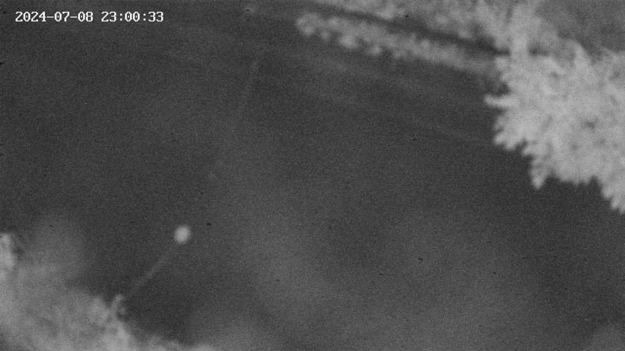area10-20240708230035.jpg