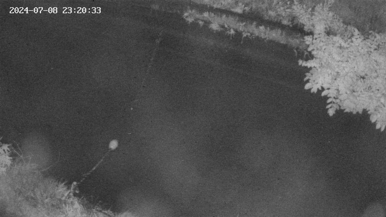 area10-20240708232034.jpg