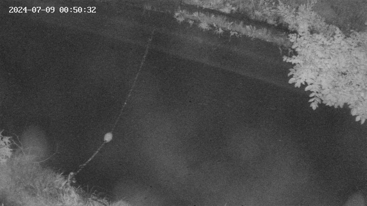 area10-20240709005034.jpg