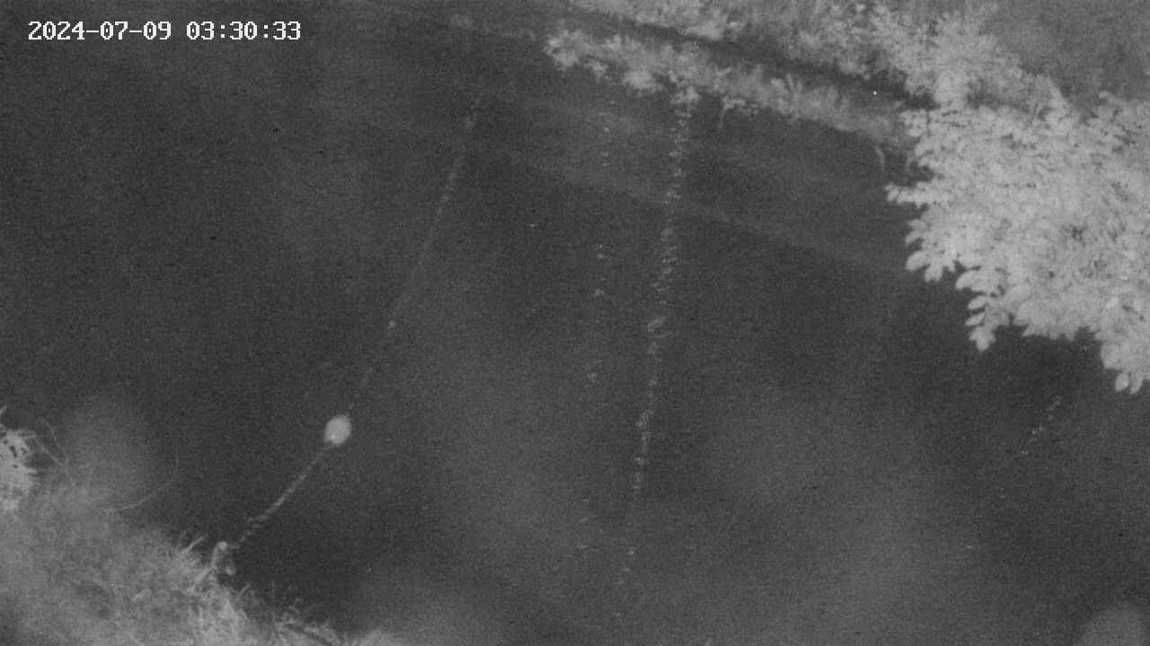 area10-20240709033035.jpg